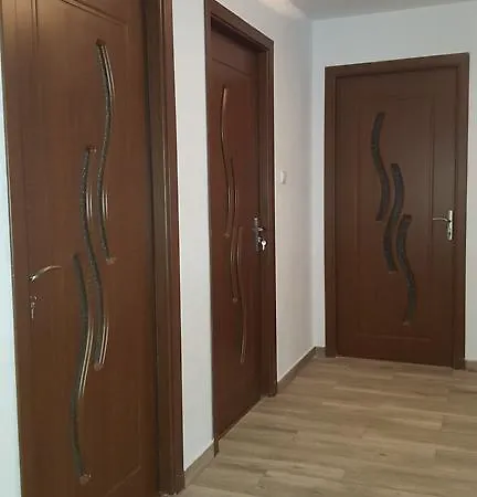 Pensjonat Vila Alex Călimăneşti