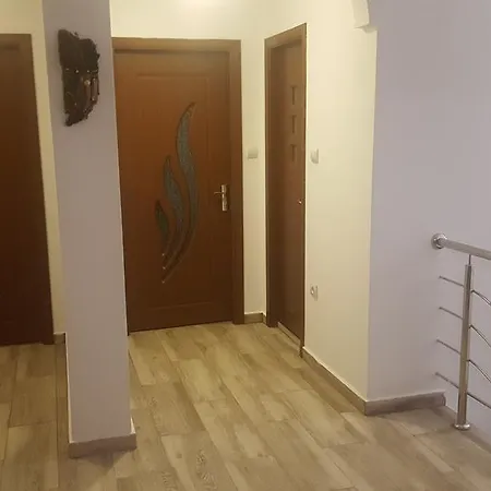 Pensjonat Vila Alex Călimăneşti