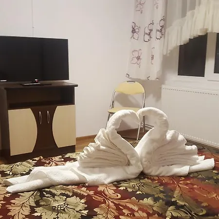 Pensjonat Vila Alex Călimăneşti