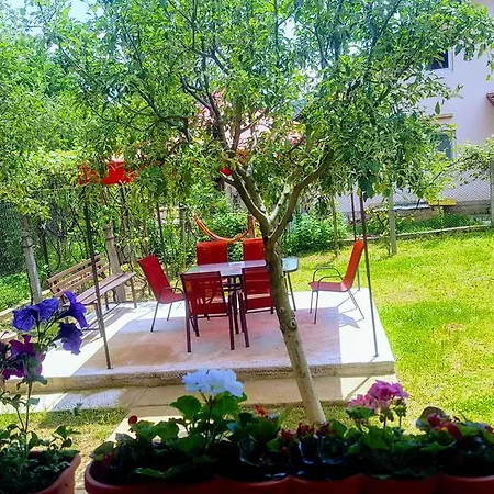 Vila Alex Călimăneşti